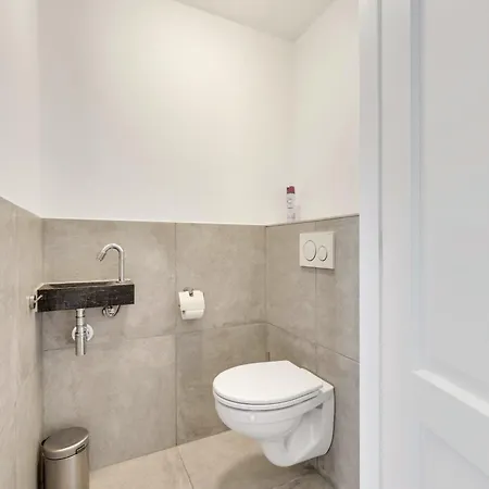 Aalscholver - Kabbelaarsbank *