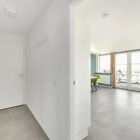 Aalscholver - Kabbelaarsbank Ouddorp