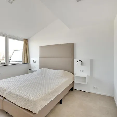 Aalscholver - Kabbelaarsbank