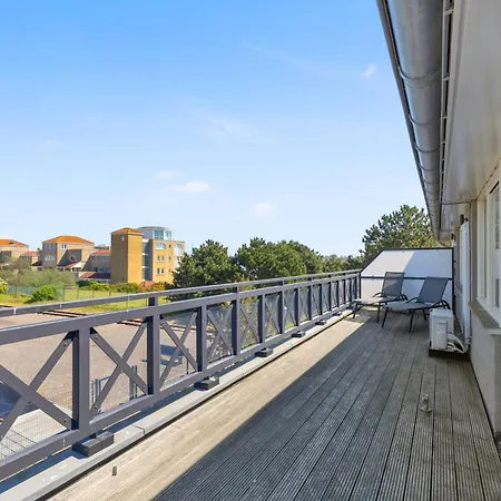 Aalscholver - Kabbelaarsbank Ouddorp