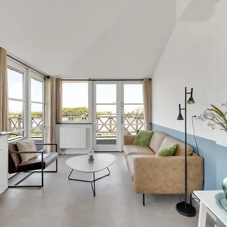 Aalscholver - Kabbelaarsbank Ouddorp