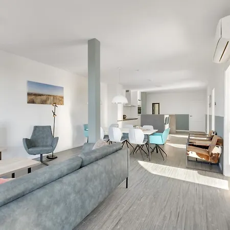 Aalscholver - Kabbelaarsbank