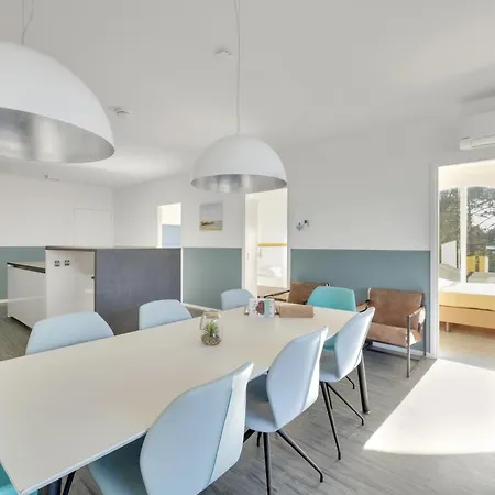 Aalscholver - Kabbelaarsbank