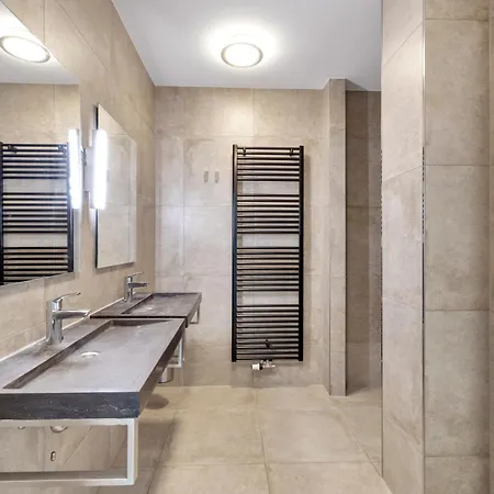 Aalscholver - Kabbelaarsbank