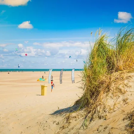 Aalscholver - Kabbelaarsbank