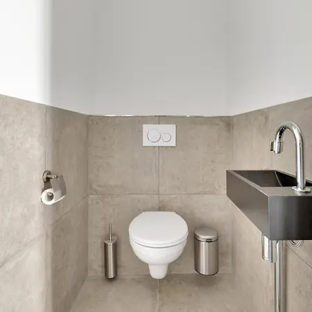 Aalscholver - Kabbelaarsbank