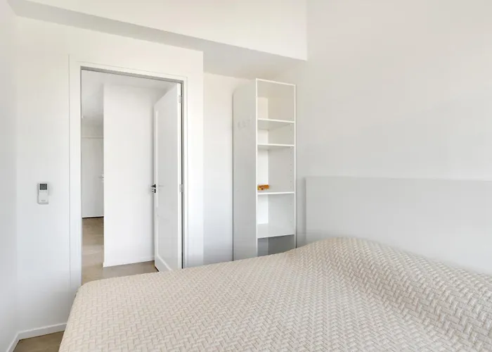 Aalscholver - Kabbelaarsbank