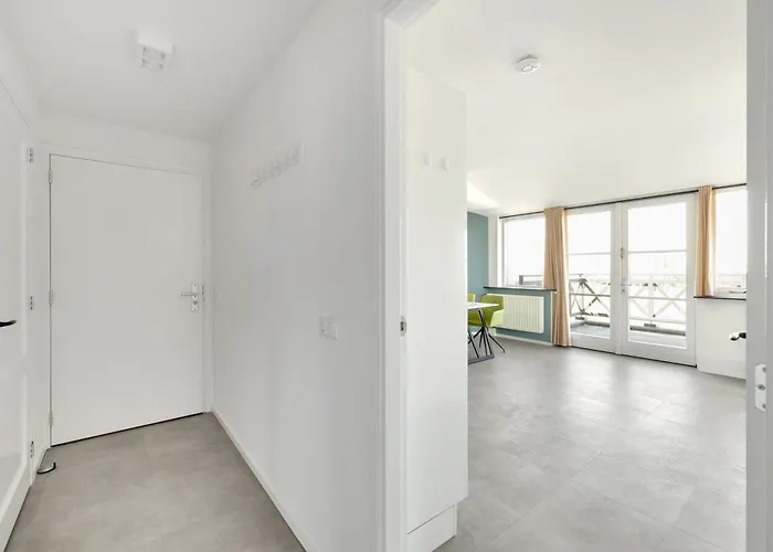 Aalscholver - Kabbelaarsbank Ouddorp