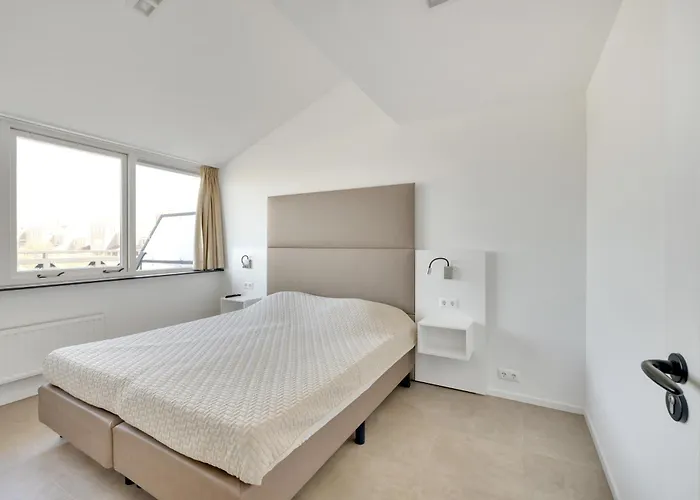 Aalscholver - Kabbelaarsbank