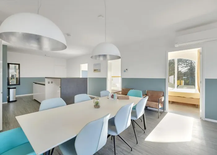 Aalscholver - Kabbelaarsbank