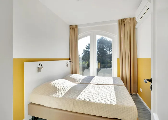 Aalscholver - Kabbelaarsbank Ouddorp