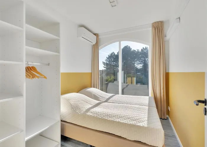 Aalscholver - Kabbelaarsbank