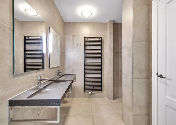 Aalscholver - Kabbelaarsbank