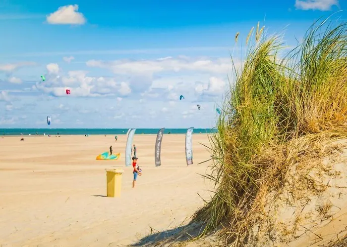 Aalscholver - Kabbelaarsbank