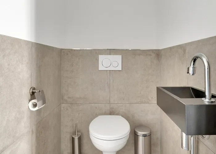 Aalscholver - Kabbelaarsbank