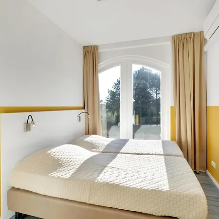 Aalscholver - Kabbelaarsbank Ouddorp