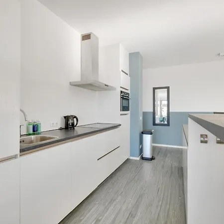 Aalscholver - Kabbelaarsbank * Ouddorp