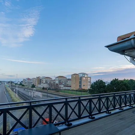 Aalscholver - Kabbelaarsbank * Ouddorp
