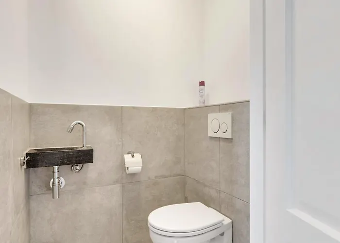 Aalscholver - Kabbelaarsbank *