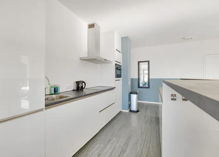 Aalscholver - Kabbelaarsbank * آودورب